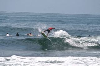  Surf 